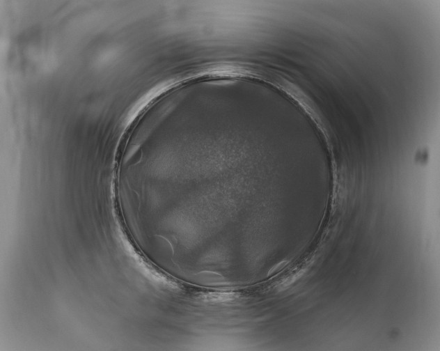 X0000111380853200907241308