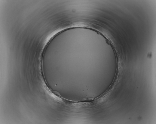 X0000111380854200907241308