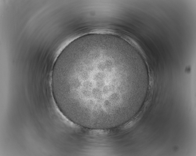 X0000111380855200907241308