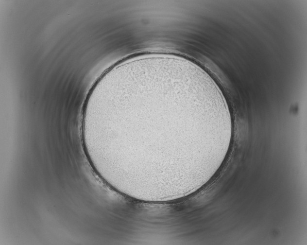 X0000111380856200907241308