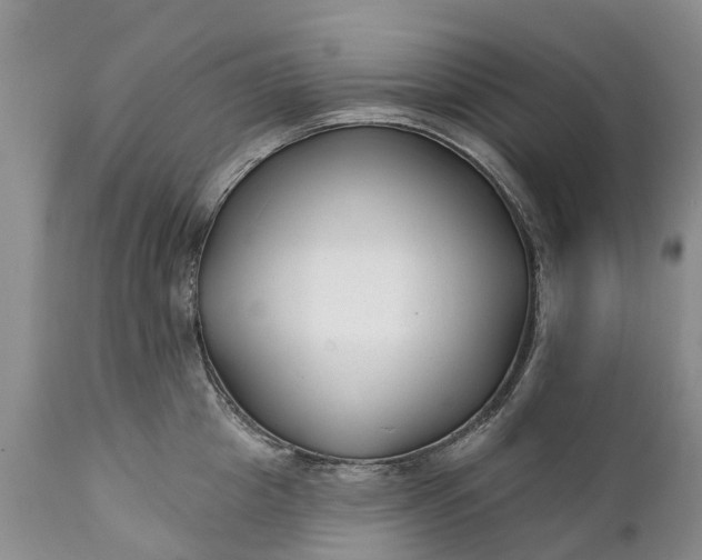 X0000111380857200907241308