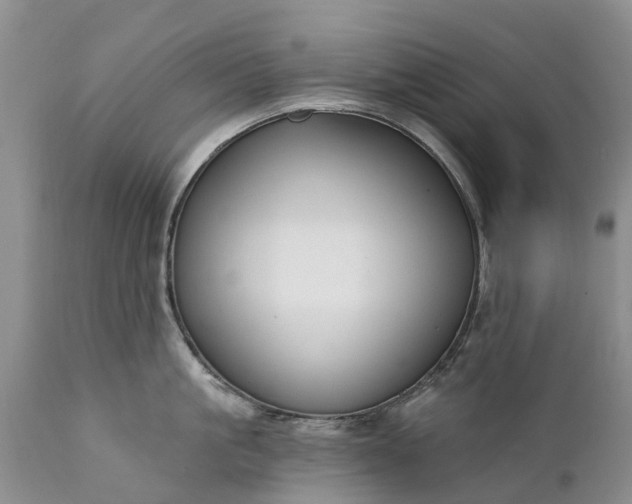 X0000111380861200907241308