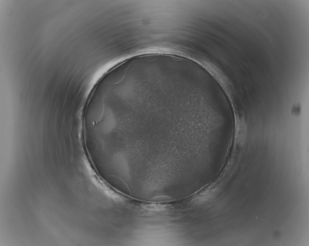 X0000111380862200907241308