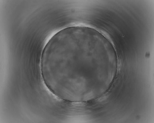 X0000111380863200907241308