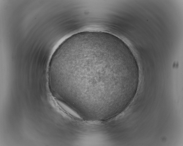 X0000111380864200907241308