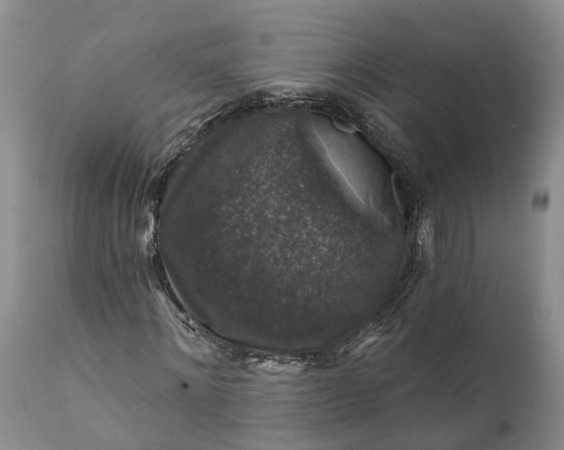 X0000111380868200907241307