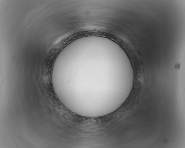 X0000111380869200907241307