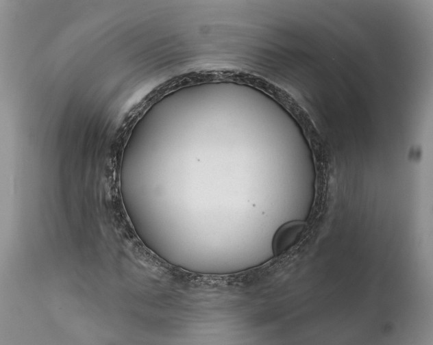 X0000111380871200907241307