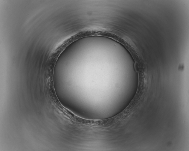 X0000111380872200907241307