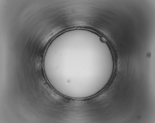 X0000111380873200907241307