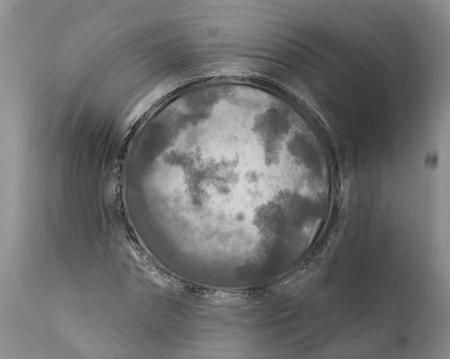 X0000111380874200907241307