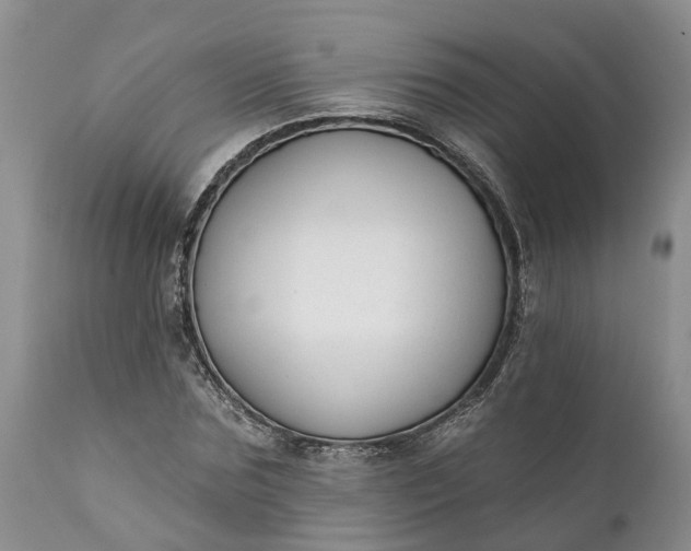 X0000111380875200907241307