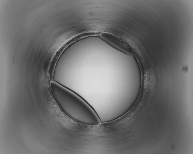 X0000111380876200907241307