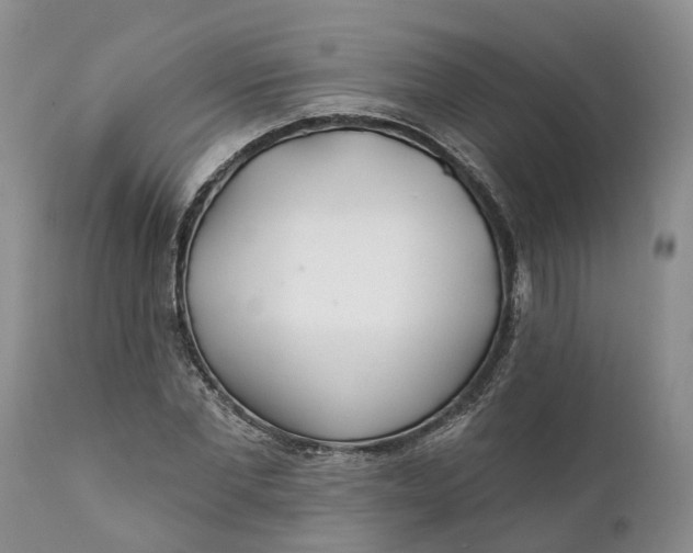 X0000111380877200907241307