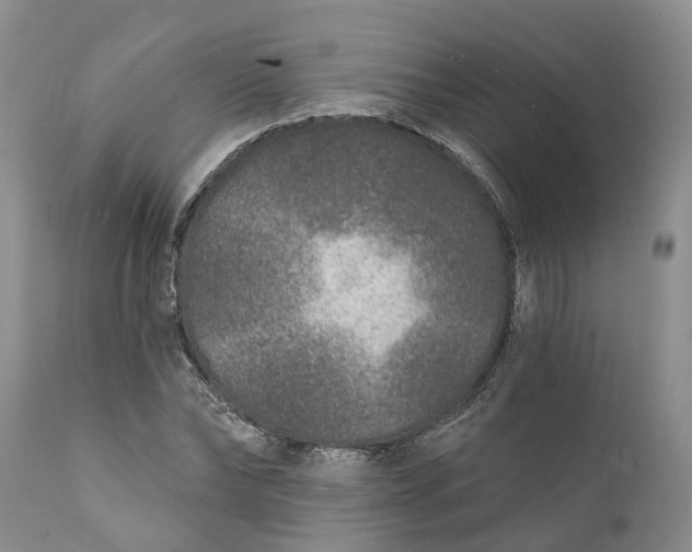 X0000111380878200907241307