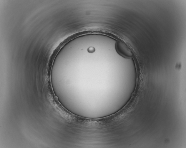 X0000111380880200907241307