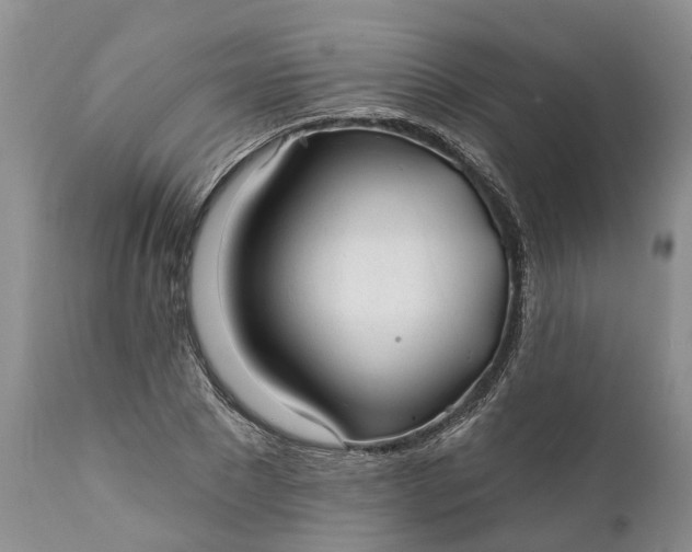 X0000111380881200907241307