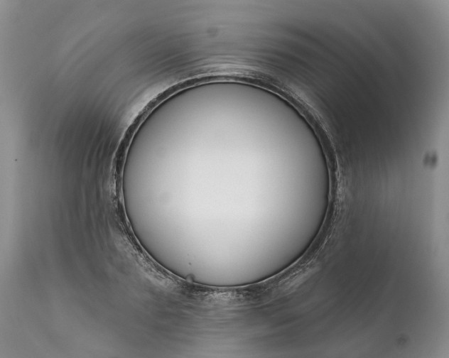 X0000111380883200907241307