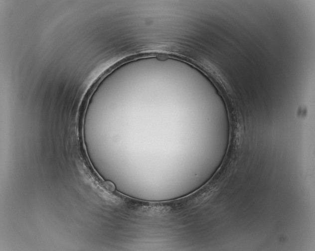 X0000111380884200907241307