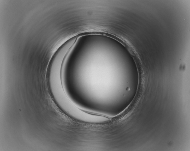 X0000111380885200907241307