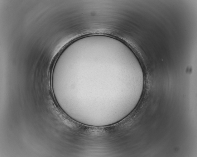 X0000111380886200907241307