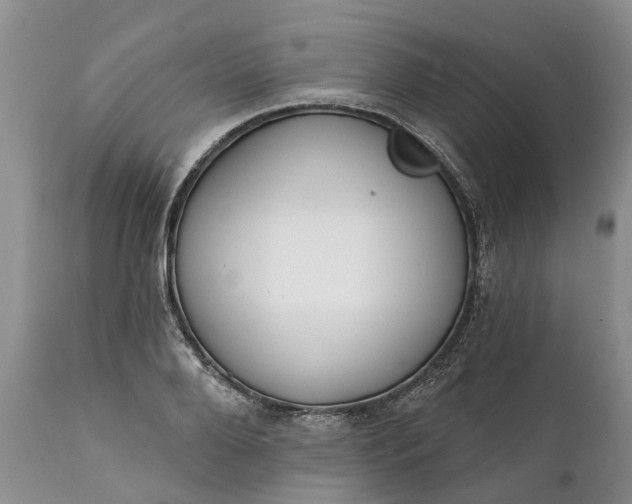 X0000111380888200907241307