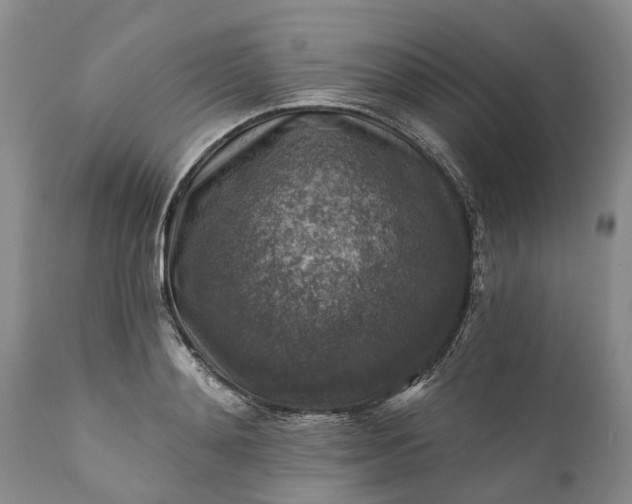 X0000111380892200907241307