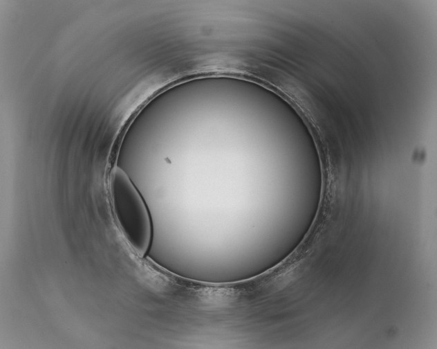 X0000111380893200907241307