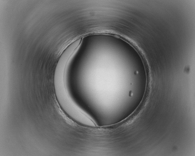 X0000111380897200907241307