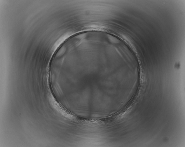 X0000111380899200907241307