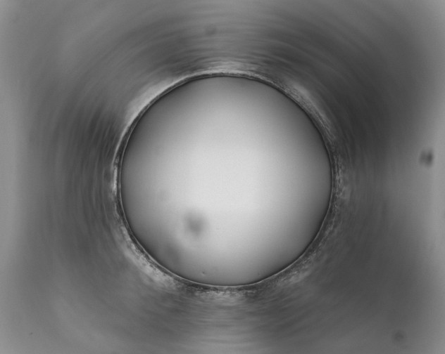 X0000111380900200907241307