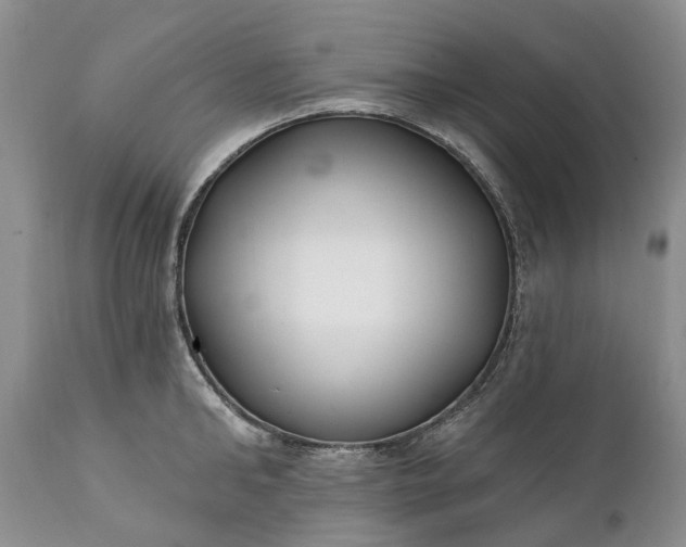 X0000111380902200907241307