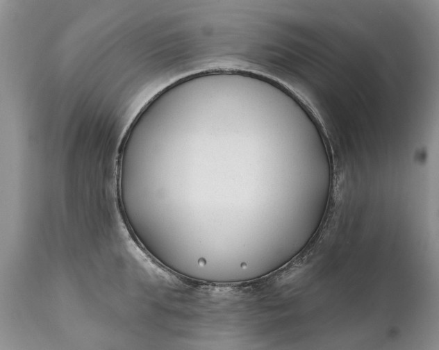 X0000111380903200907241307