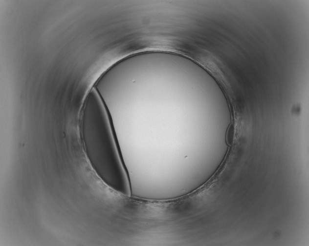 X0000111380908200907241307