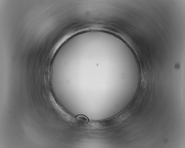 X0000111380911200907241307