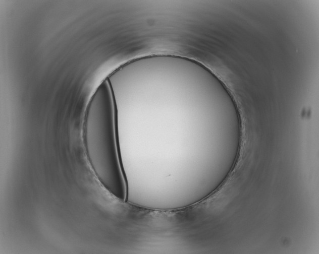 X0000111380912200907241306