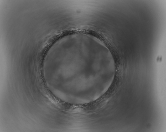 X0000111380913200907241306