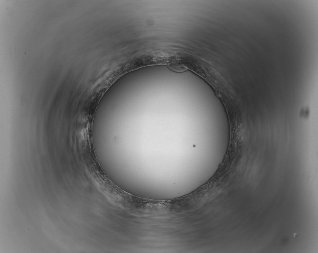 X0000111380914200907241306