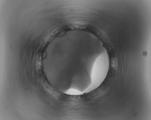 X0000111380915200907241306