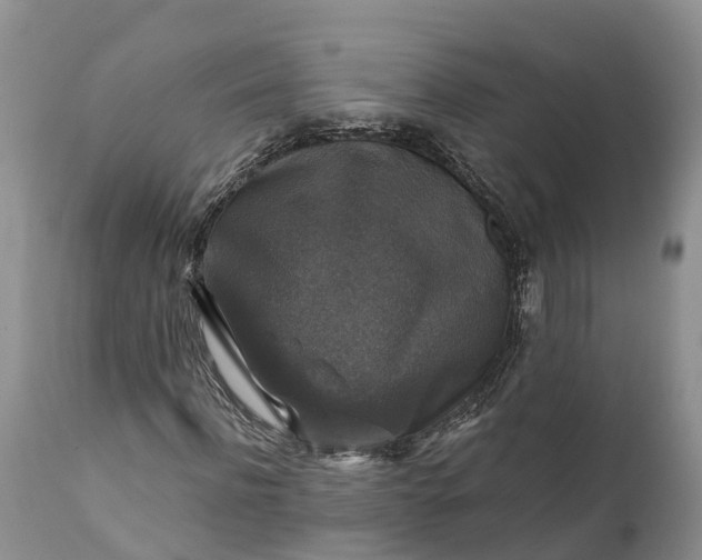 X0000111380916200907241306