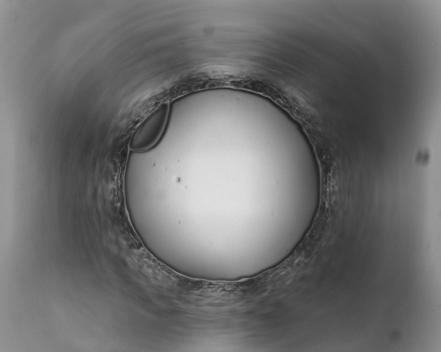 X0000111380917200907241306