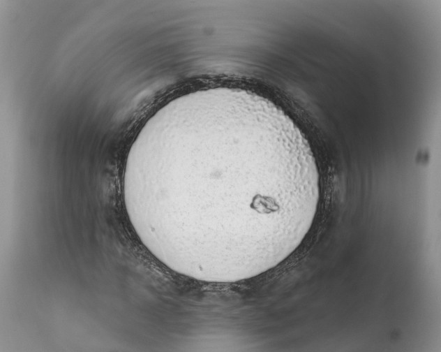 X0000111380918200907241306