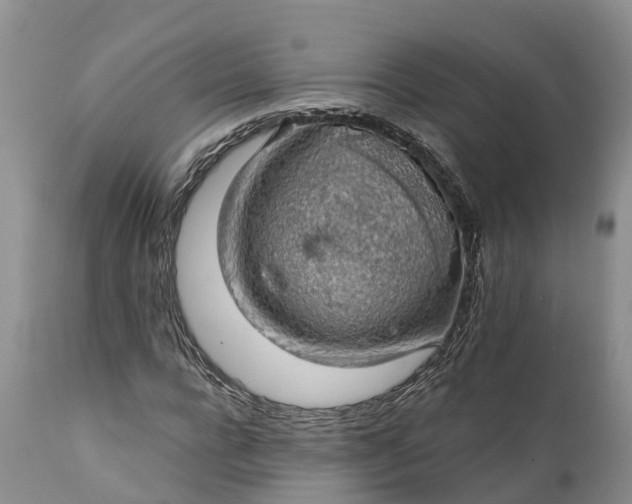 X0000111380920200907241306