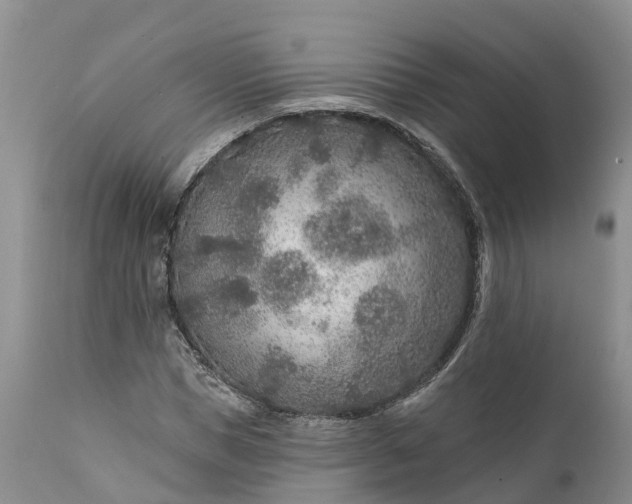 X0000111380921200907241306