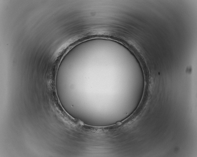 X0000111380922200907241306