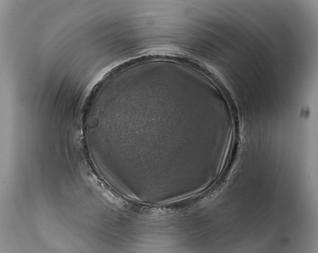 X0000111380923200907241306