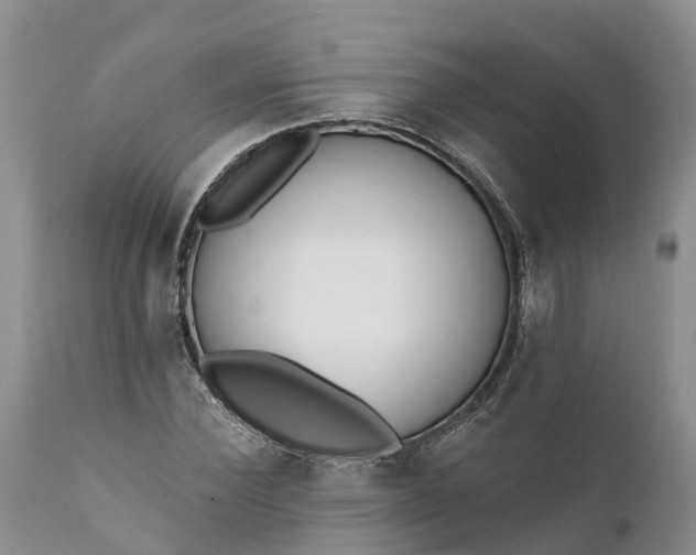 X0000111380924200907241306