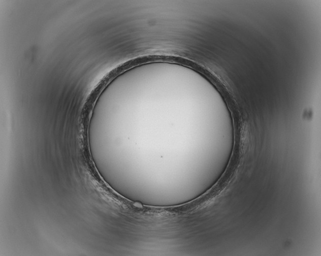 X0000111380926200907241306