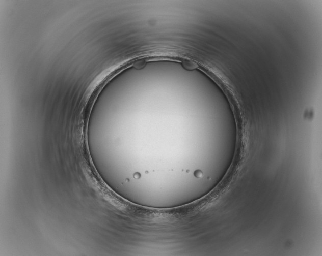 X0000111380933200907241306