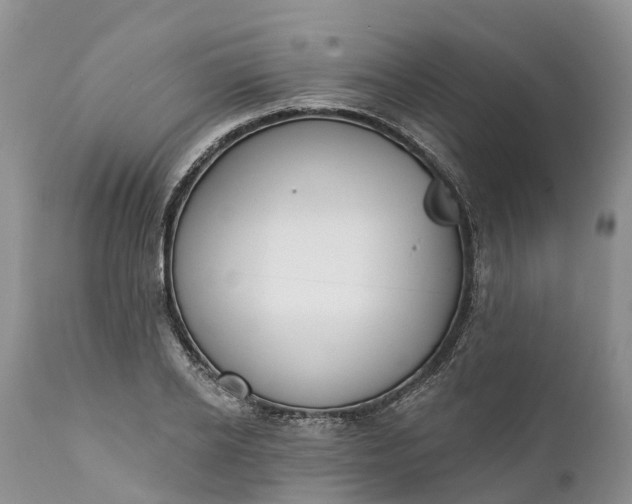 X0000111380934200907241306